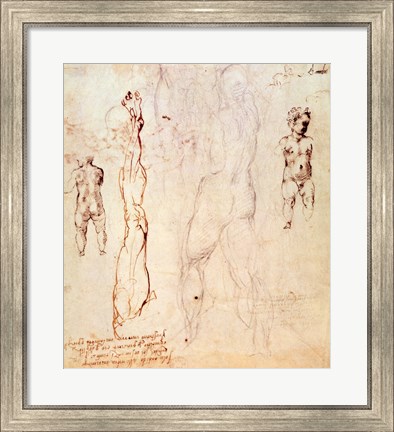 Framed Anatomical drawings with accompanying notes Print