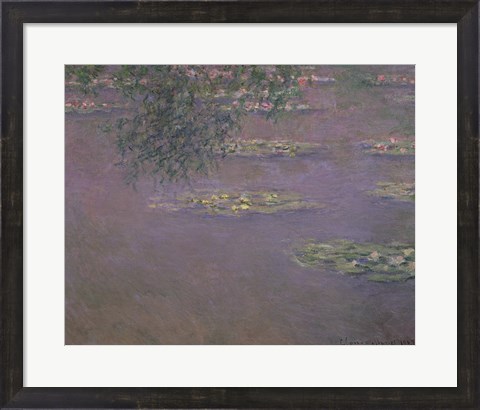 Framed Waterlilies, 1903 Print