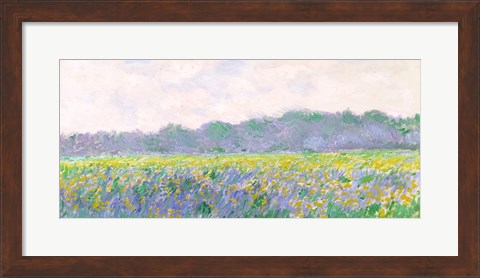 Framed Field of Yellow Irises at Giverny, 1887 Print