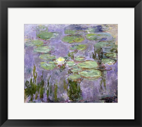 Framed Waterlilies, 1915 Print