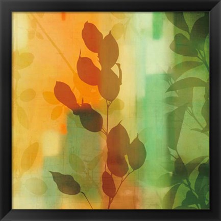 Framed Nature&#39;s Glow II Print