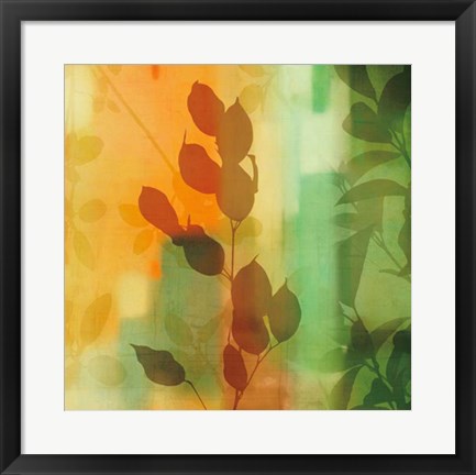 Framed Nature&#39;s Glow II Print