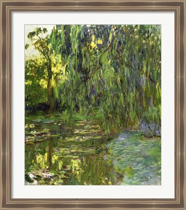 Framed Weeping Willows, The Waterlily Pond at Giverny, c.1918 Print