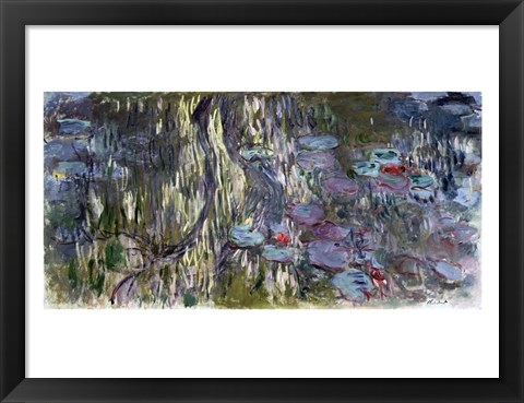 Framed Waterlilies (horizontal) Print