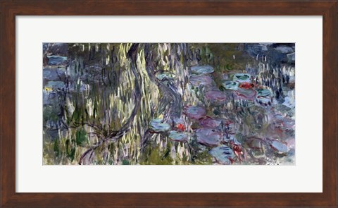 Framed Waterlilies (horizontal) Print