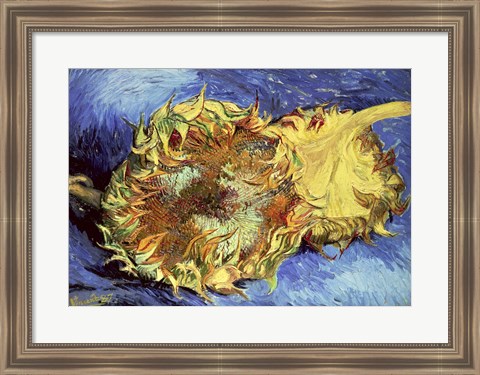 Framed Sunflowers, 1887 Print