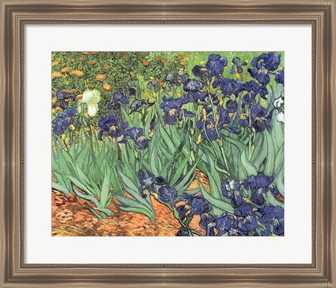 Framed Irises, 1889 Print