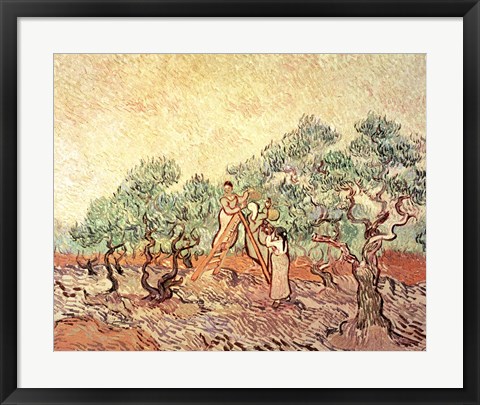 Framed Olive Grove, 1889 Print