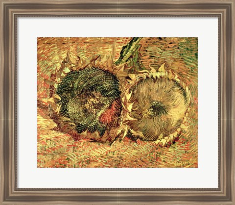 Framed Two Cut Sunflowers, 1887 Print