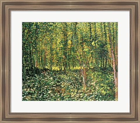 Framed Trees and Undergrowth, 1887 Print