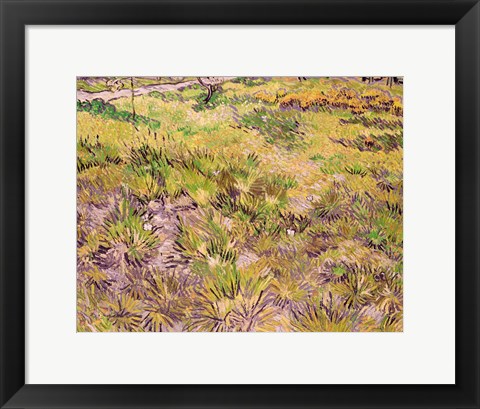 Framed Meadow with Butterflies, 1890 Print