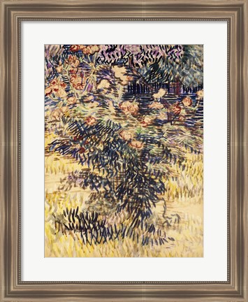 Framed Oleanders, the Hospital Garden at Saint-Remy, 1889 Print