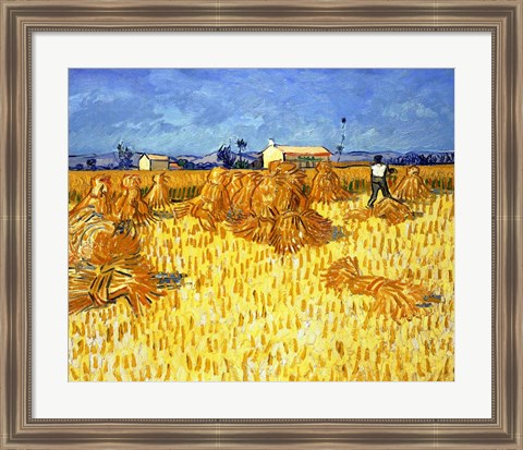 Framed Harvest in Provence Print