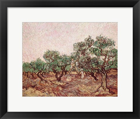 Framed Olive Pickers - picking Print