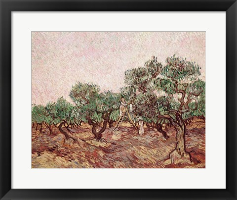 Framed Olive Pickers - picking Print