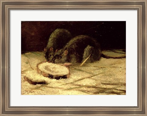 Framed Two Rats Print