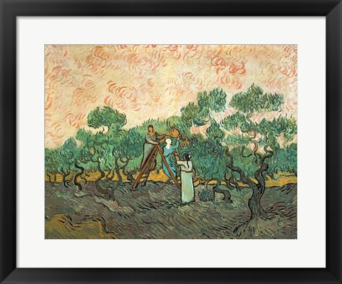 Framed Olive Pickers Print