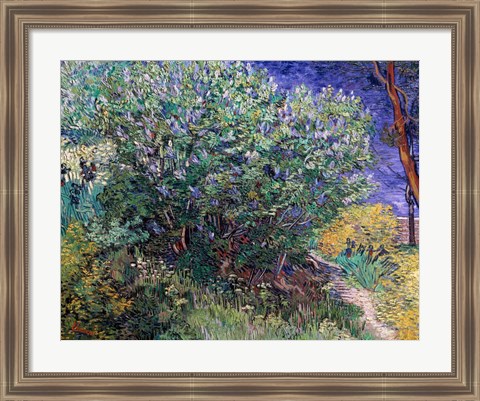 Framed Lilac Bush, 1889 Print