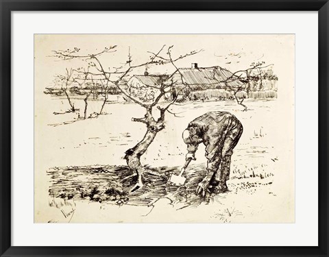 Framed In the Orchard Print