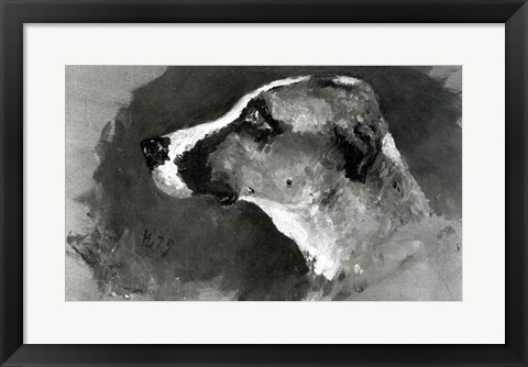 Framed Head of a Dog with Short Ears, 1879 Print