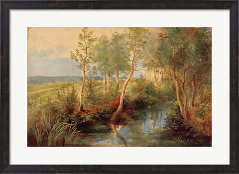 Framed Landscape Print