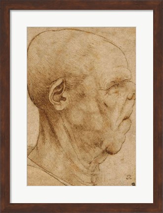 Framed Caricature of the head of an old man, in profile to the right, c.1507 Print