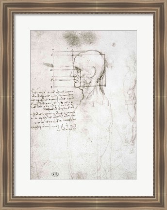 Framed Head of an Old Man in Profile Print