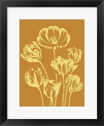 Framed Tulip 20 Print