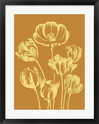 Framed Tulip 20 Print