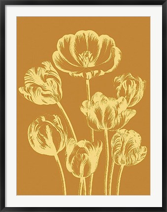 Framed Tulip 20 Print