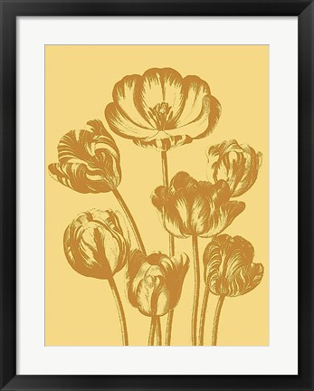 Framed Tulip 19 Print