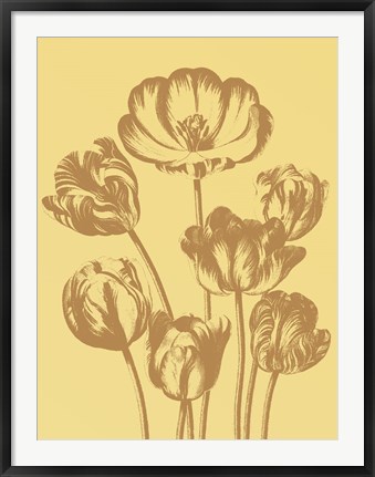 Framed Tulip 19 Print