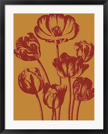 Framed Tulip 15 Print