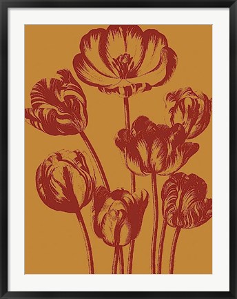 Framed Tulip 15 Print