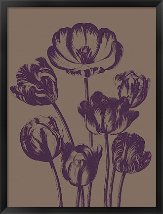 Framed Tulip 14 Print