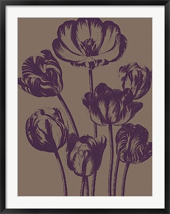 Framed Tulip 14 Print