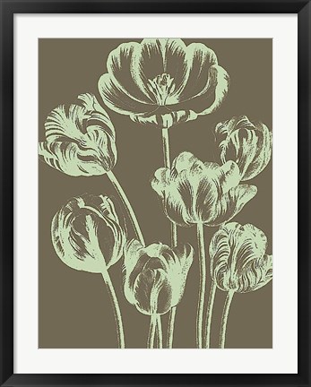 Framed Tulip 12 Print