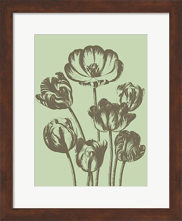 Framed Tulip 11 Print