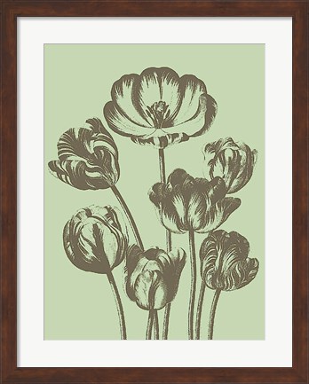 Framed Tulip 11 Print