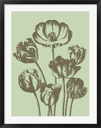 Framed Tulip 11 Print