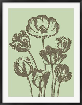 Framed Tulip 11 Print