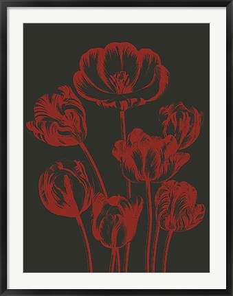 Framed Tulip 10 Print