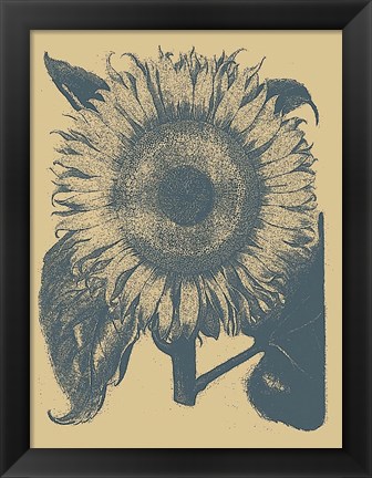 Framed Sunflower 1 Print