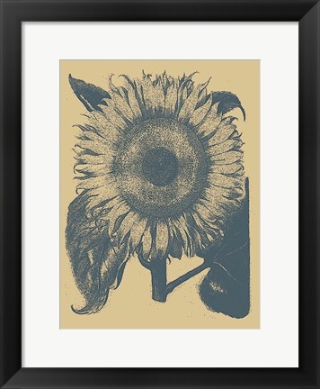 Framed Sunflower 1 Print