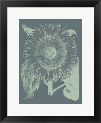 Framed Sunflower 7 Print