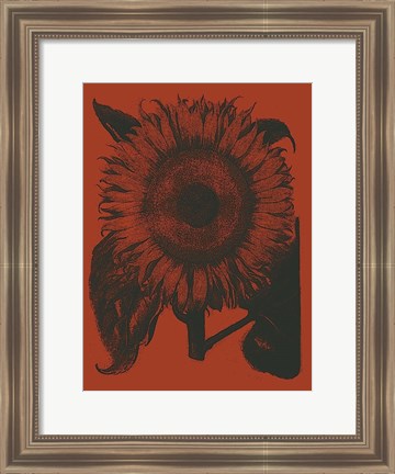 Framed Sunflower 9 Print