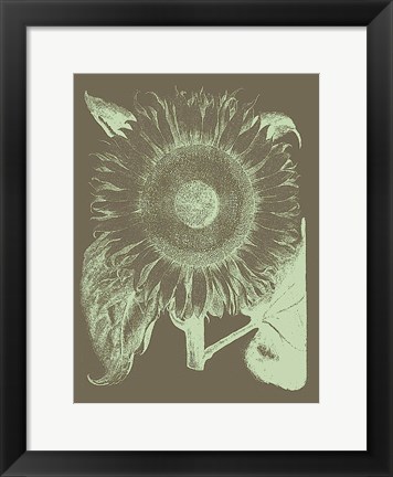 Framed Sunflower 12 Print