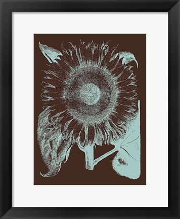 Framed Sunflower 17 Print