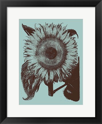 Framed Sunflower 18 Print