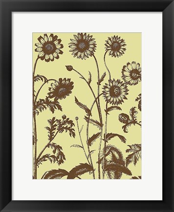 Framed Chrysanthemum 4 Print